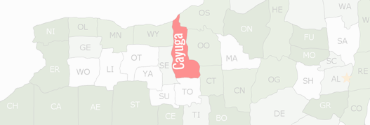 Cayuga County Map