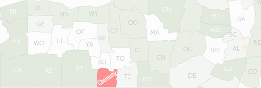 Chemung County Map